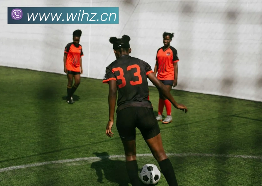 App Interface Preview